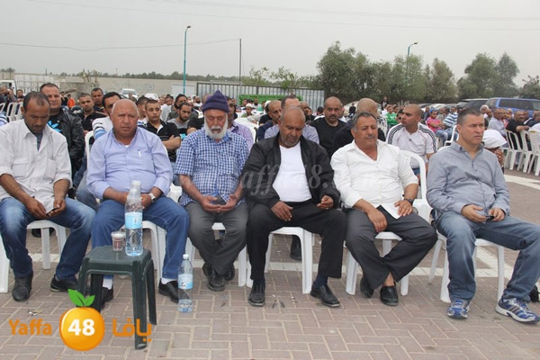 sol7 moneer lud 0308 (14).JPG